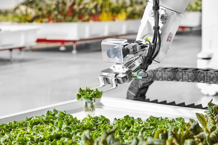Robot-powered indoor farming startup Iron Ox raises $53m, gears up to open 535,000sq ft facility in Texas later this year
