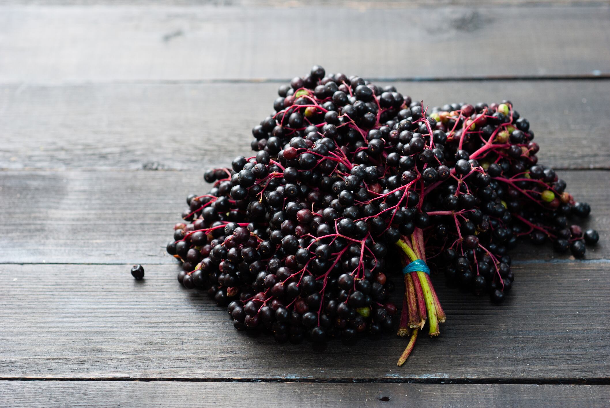 Elderberry-supplement-sales-skyrocketed-to-320-million-in-2020-ABC-report.jpg