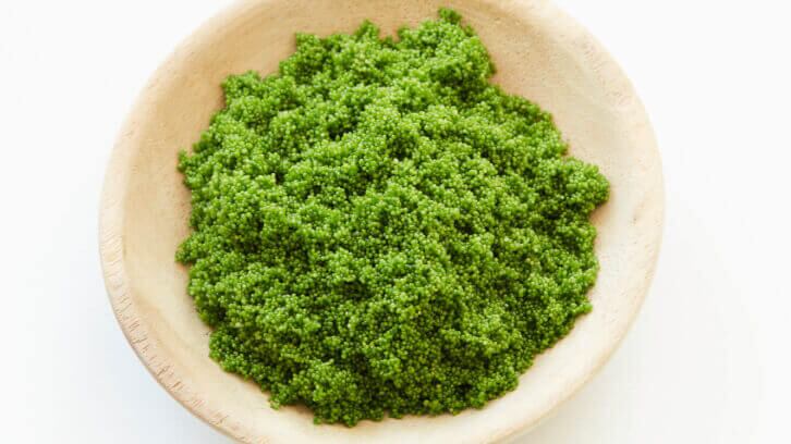 [Video] Green Onyx launches its vertically farmed freshwater lentils into space