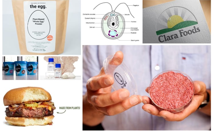 GUEST ARTICLE: Lessons that novel proteins should learn from biofuels