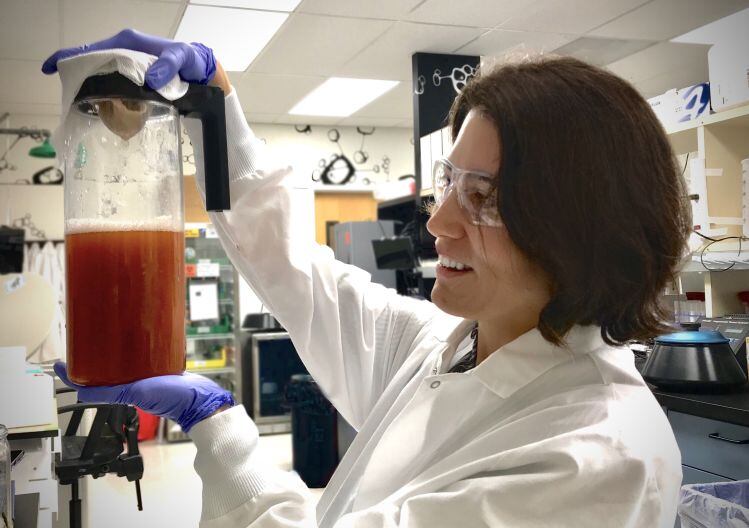 Trophic explores potential of red seaweed protein concentrate as multi-functional ingredient in plant-based meat, seafood