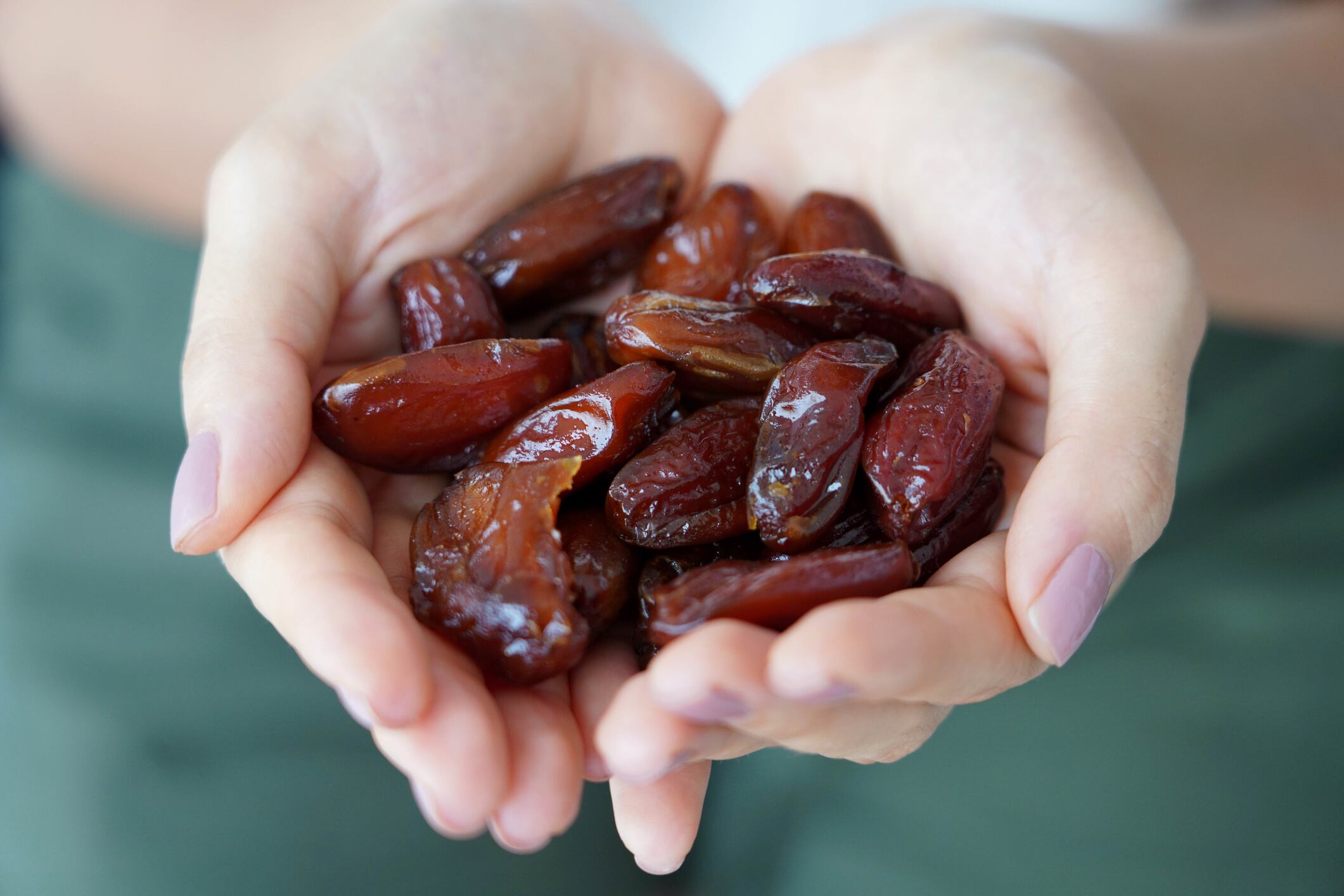 Dates dried. Close-up female hands full of dates fruit dried.