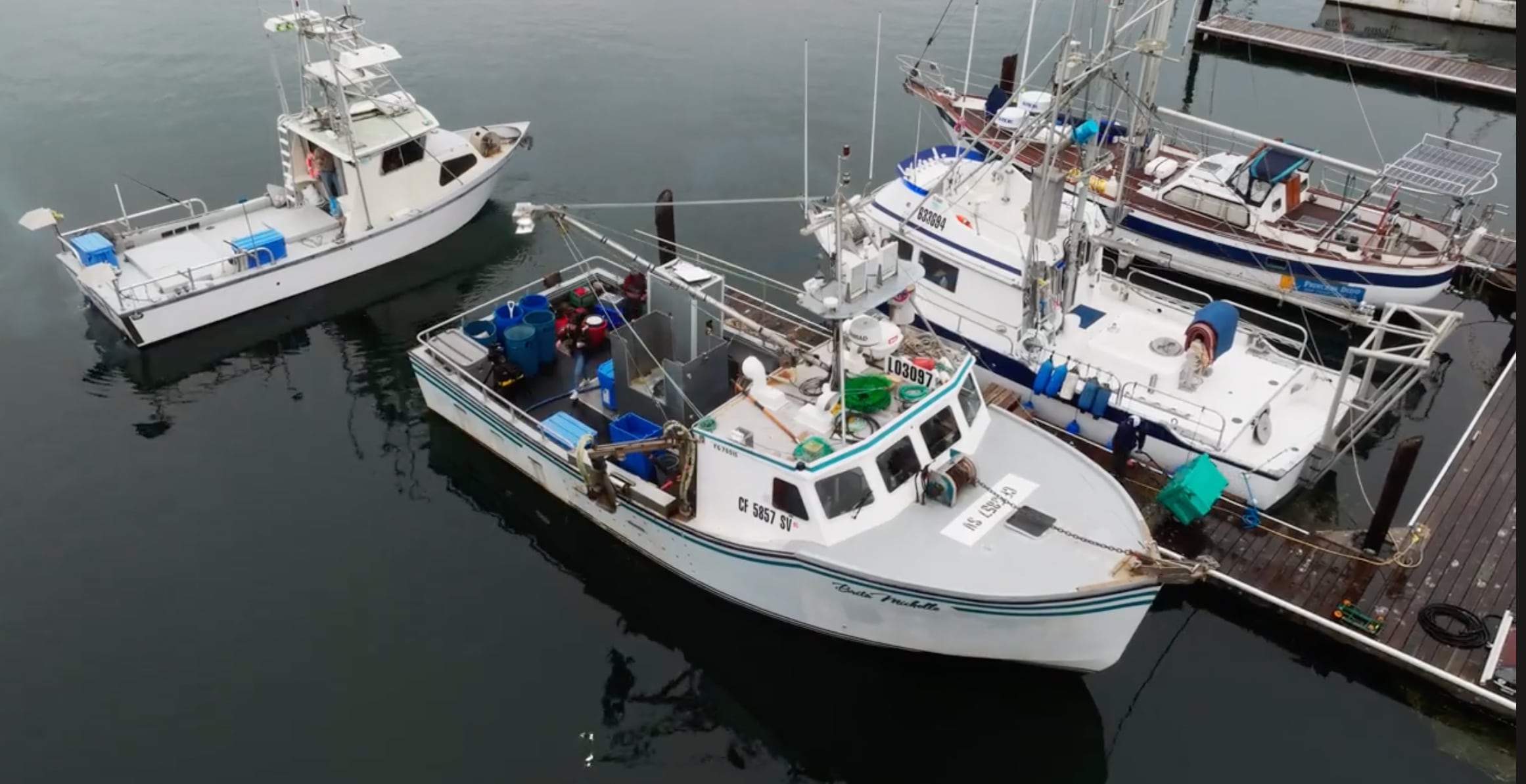 Shinkei Systems aims to produce Michelin-grade fish in a more humane way, according to CEO Saif Khawaja.