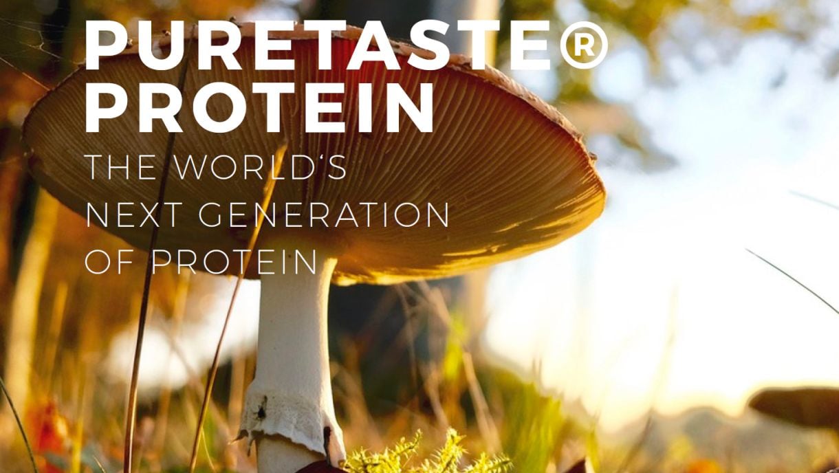 MycoTechnology: Mycelium powered innovation