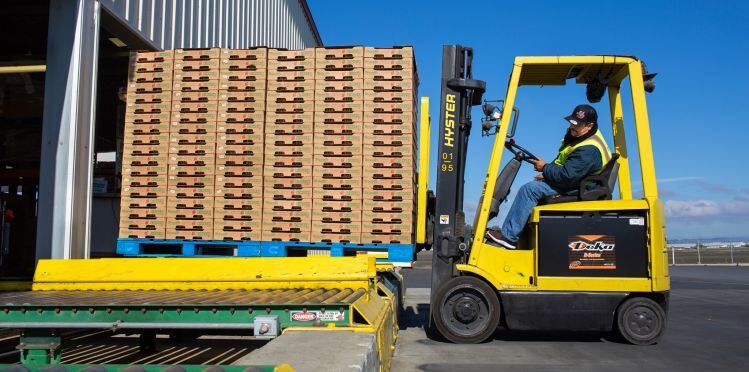 Driscoll-s-berries-supply-chain.jpg