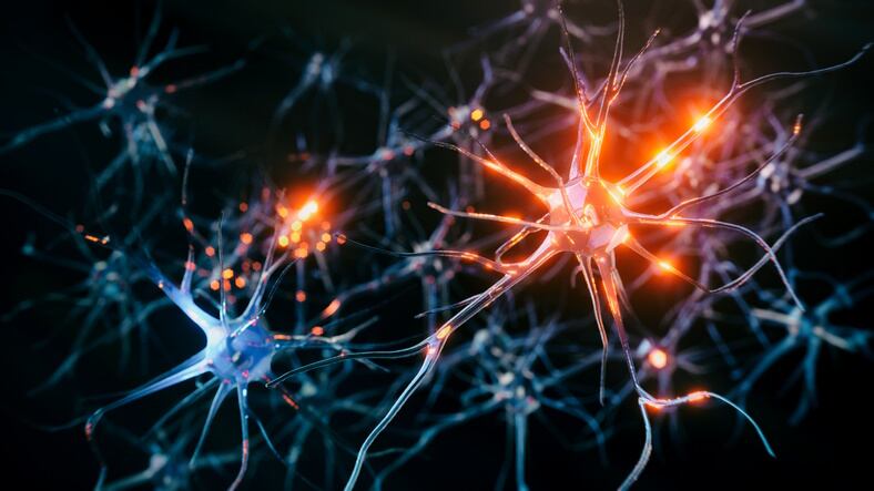 Flavour house banks on neuroscience to unlock the consumers’ relationship with food
