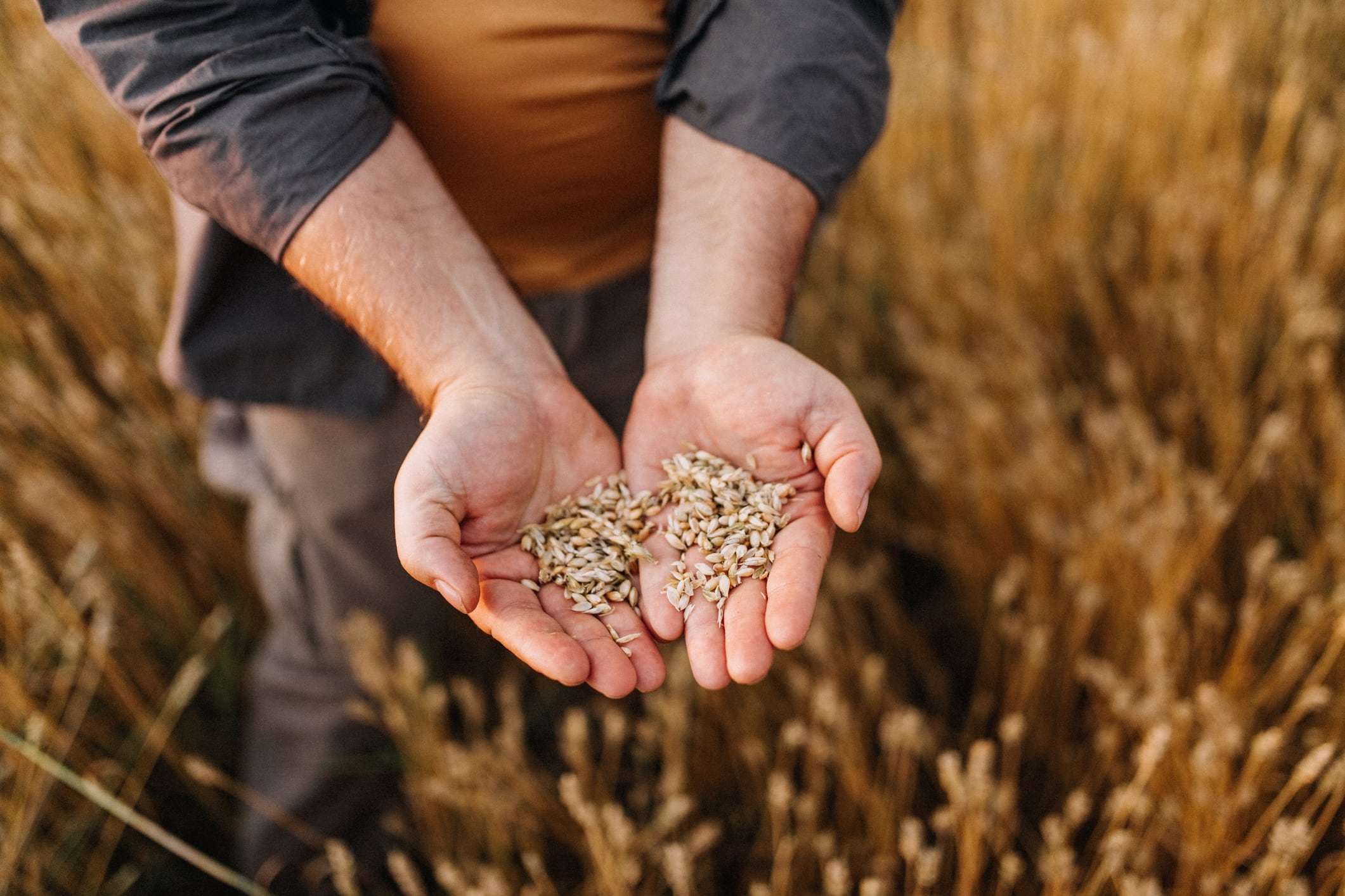 What attracts consumers to whole grains and where is there room for innovation?