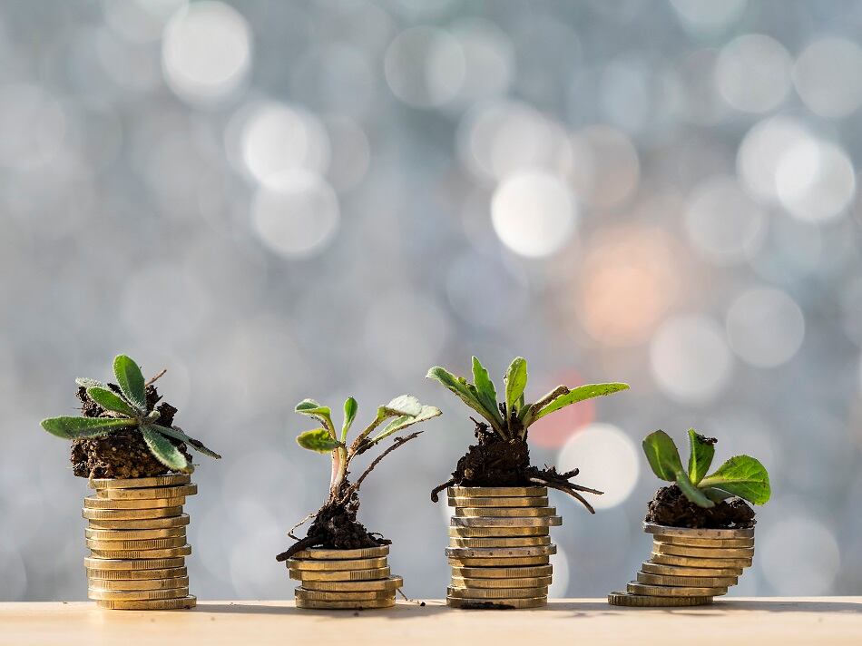 Wild Friends Foods and Cusa Tea secure investments from S CAP