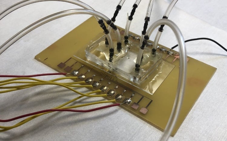 Salmonella sensor developed for poultry industry