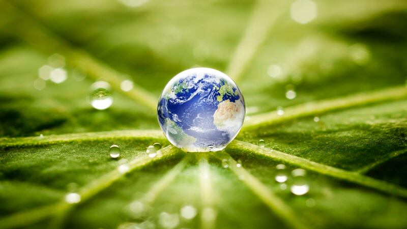 Will margins be the price of regenerative ag? GoodSAM CEO shares insights ahead of COP28 session