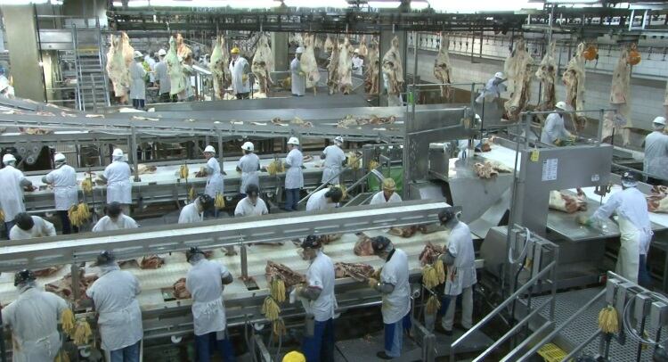 Tyson Foods to build new case ready plant