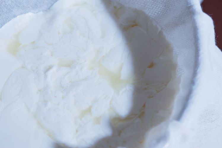 FORMO_-animal-free-cheese.jpg