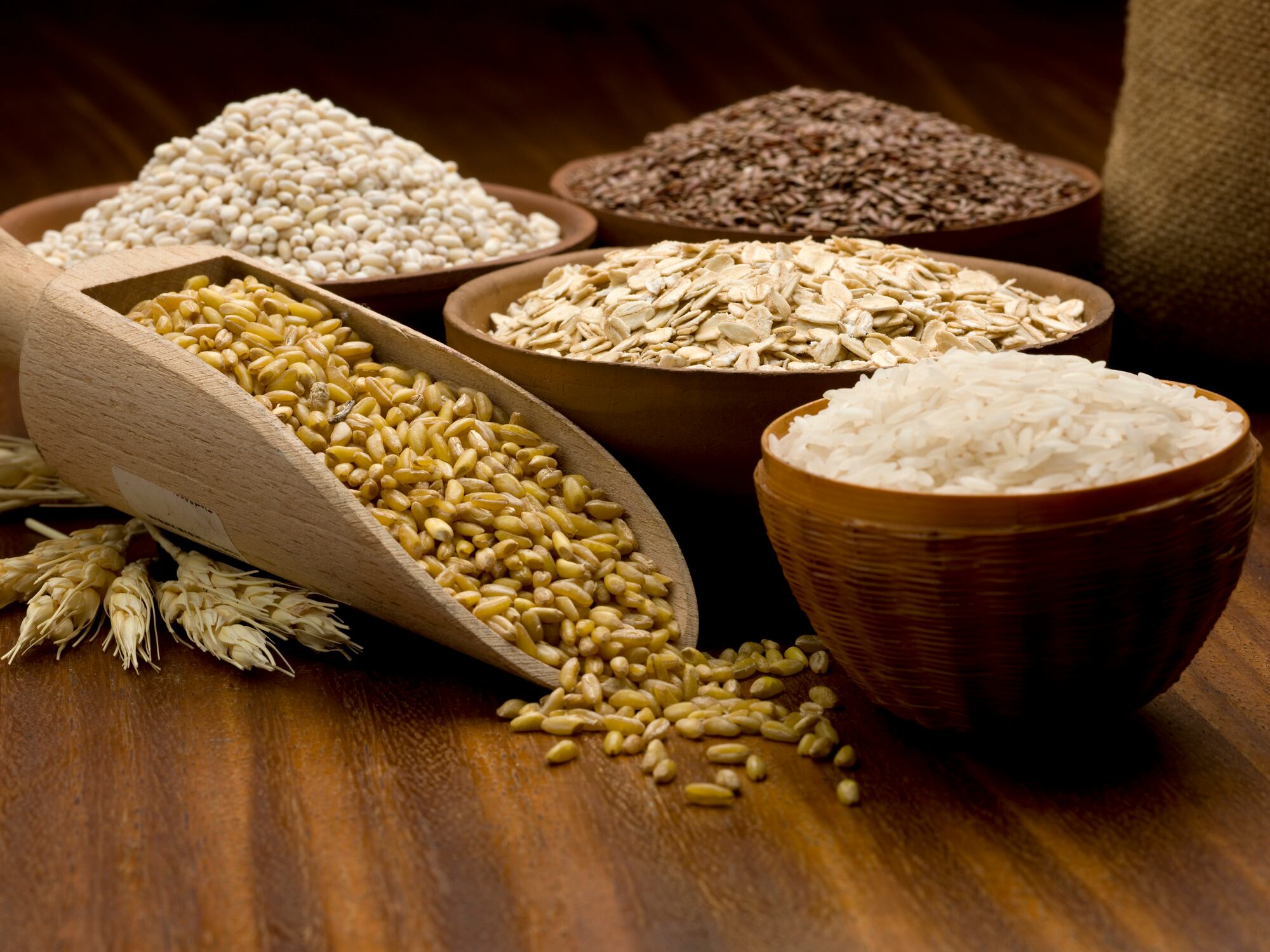 Danone & Brightseed expand A.I. partnership to explore plant-based health benefits