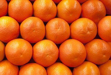 CP-Kelco-oranges.jpg