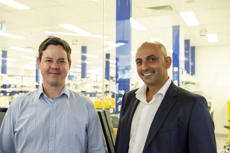 Nourish: Designer 'animal-free' fats promise superior performance in meat and dairy alternatives