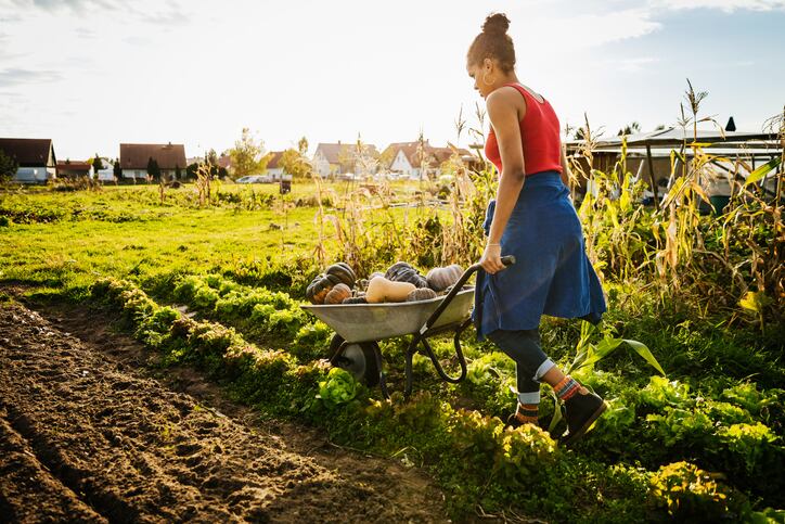 USDA earmarks additional funds for organic transition, processing to meet consumer demand
