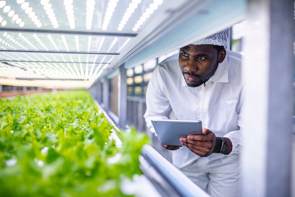 Agtech startup Koidra lands $4.5m in seed funding to advance intelligent automated growing technology