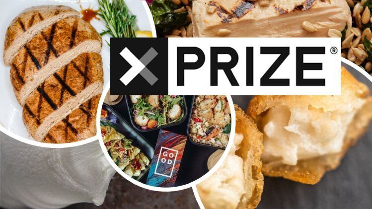 Wanted: Chicken or fish alternatives that 'replicate or outperform' animal products... XPRIZE unveils semi-finalists in $15m global 'Feed the Next Billion' competition  