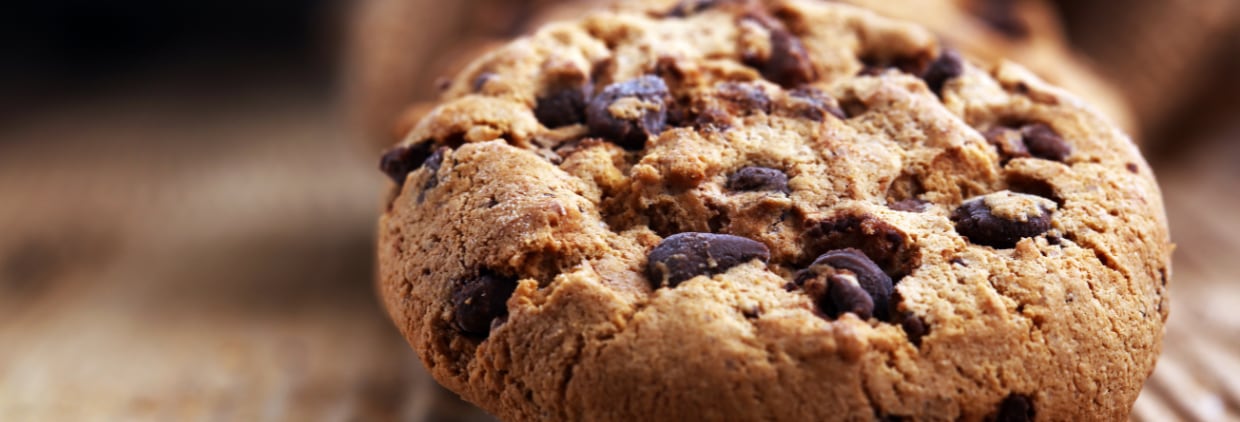 chocolate chip cookie