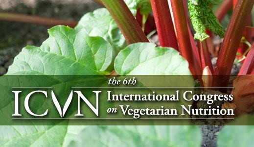 ICVN.jpg