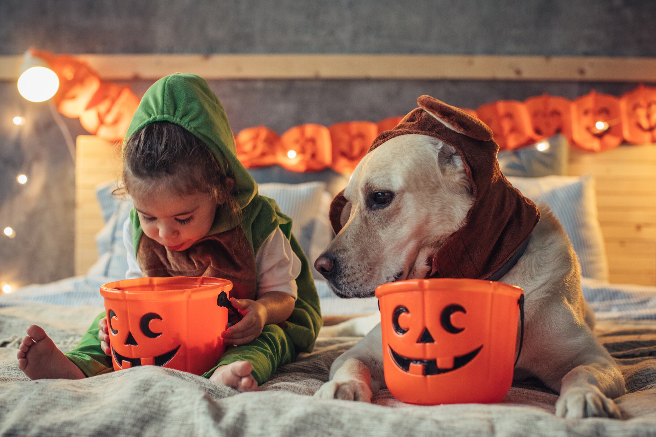 Little girl and her dog in costumes on bed celebrating Halloween