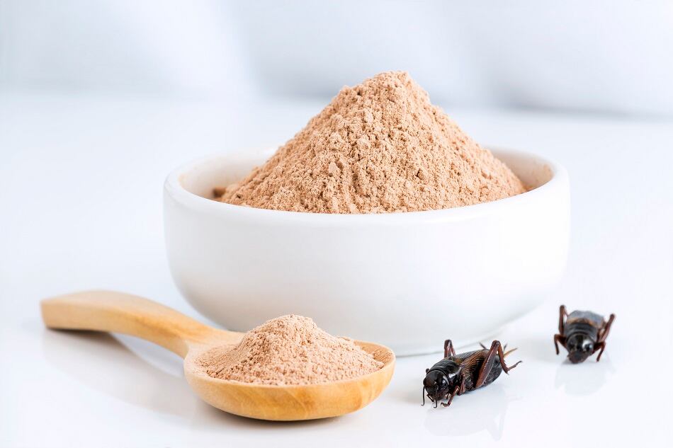 CricketPowder.jpg