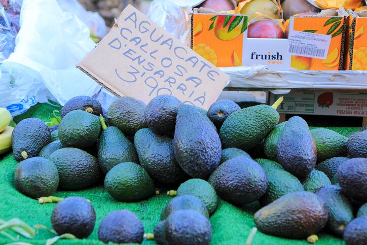 Traditional growing regions for coffee, cashews, and avocados predicted to shift as Earth warms