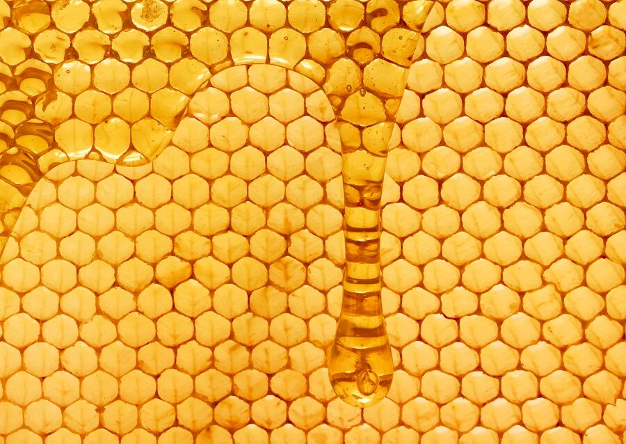Sweet trends in honey at the Summer Fancy Food Show