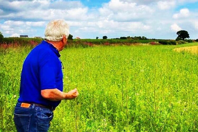 A-PepsiCo-oat-farmer-in-his-field-surrounded-by-wide-wildflower-borders-part-of-his-sustainability-efforts-Pic-Quaker.png