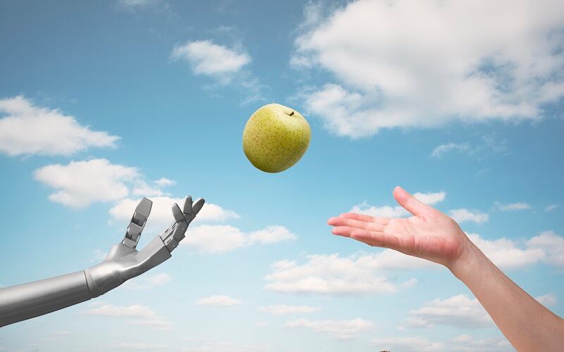 FoodPairing shares how AI can speed up product development