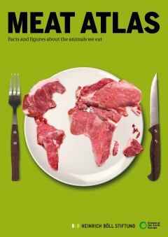 meat.jpg