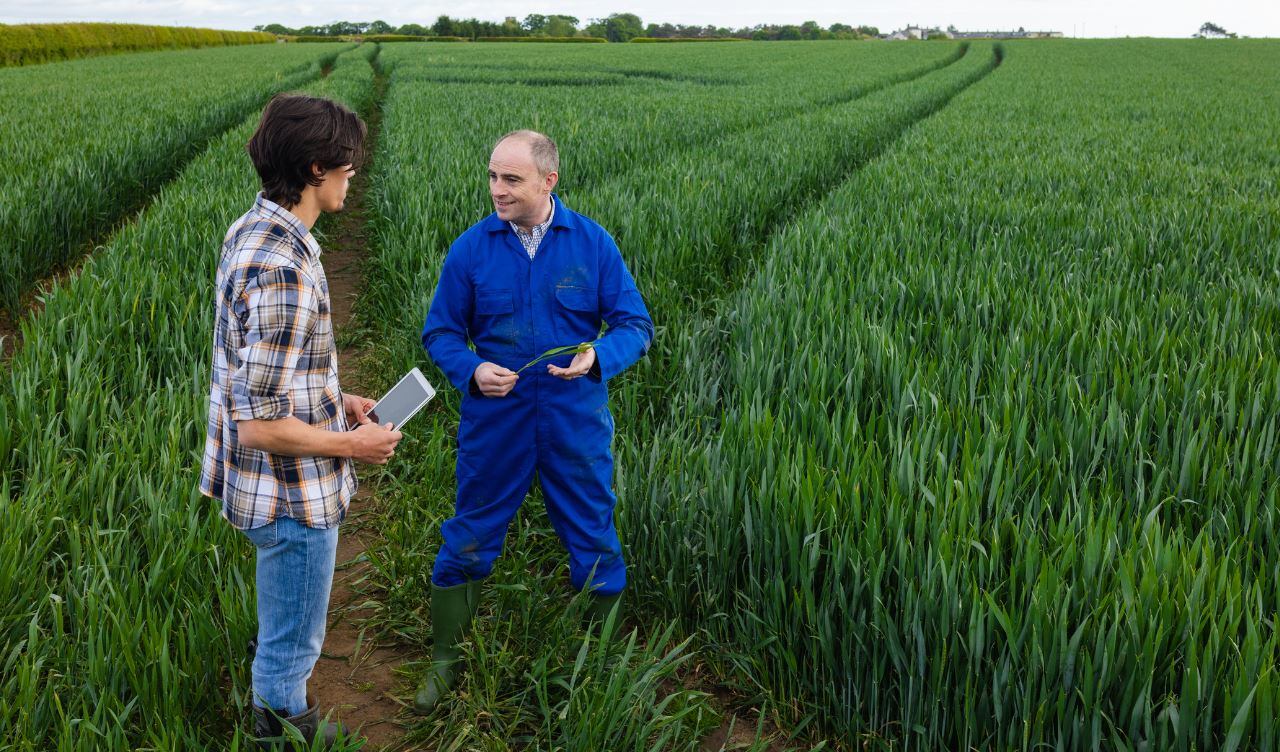 Diverse-farming.jpg