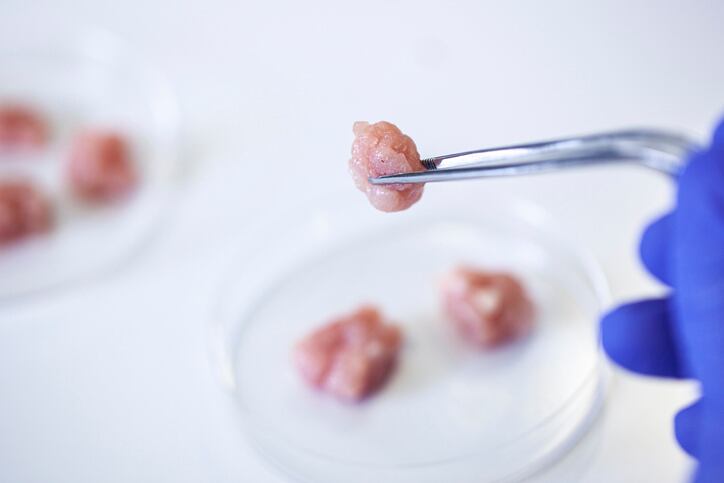 Climate tech funding could give cultivated meat companies a needed financial boost