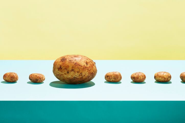 From stealth to the field in less than a year: Finally Foods leverages partnerships for speed
