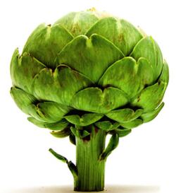 artichoke-from-Arty-Water-website.jpg