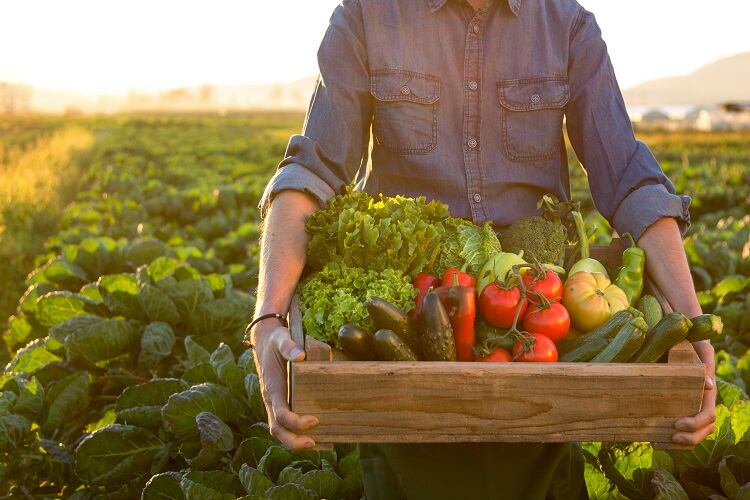 Potassium-soil-2-GettyImages-alle12.jpg