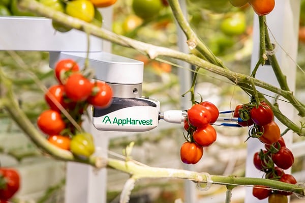 AppHarvest_virgo.jpg