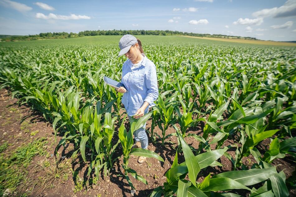 ADM-and-PepsiCo-strike-regenerative-agriculture-agreement.jpg