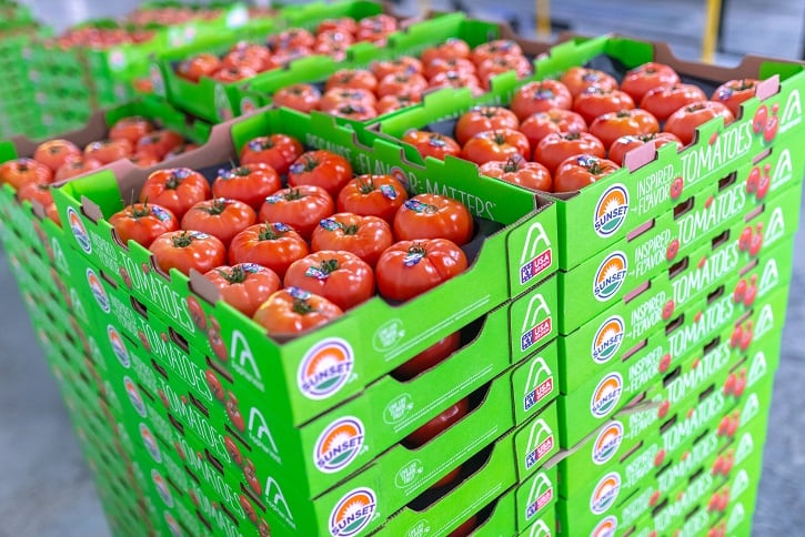 AppHarvesttomatoes.jpg