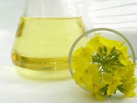 canola-oil.jpg
