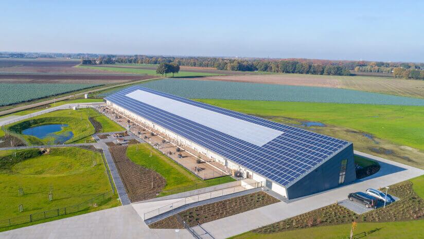 Netherlands_Farm-optimized-1.jpg
