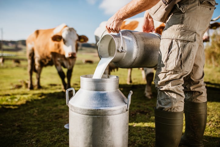 Panel-finding-Canada-violated-USMC-trade-agreement-could-open-door-for-more-US-dairy-exports-north.jpg