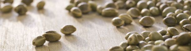 strip-hemp-seeds-hemp-health-inc.jpg