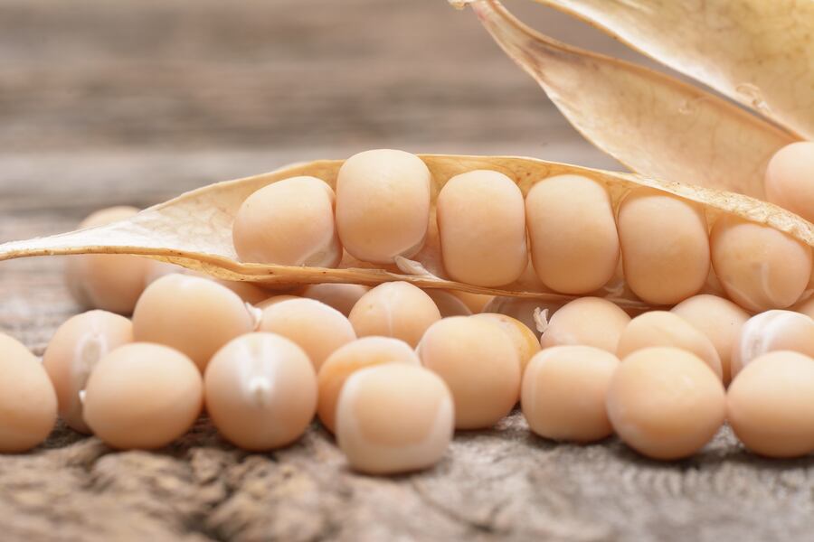Study shows the potential of pea isolate as a 'high-quality protein'