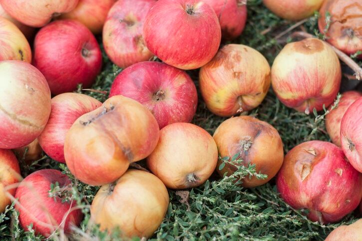 10 of world’s biggest retailers commit to reduce food waste in their supply chains