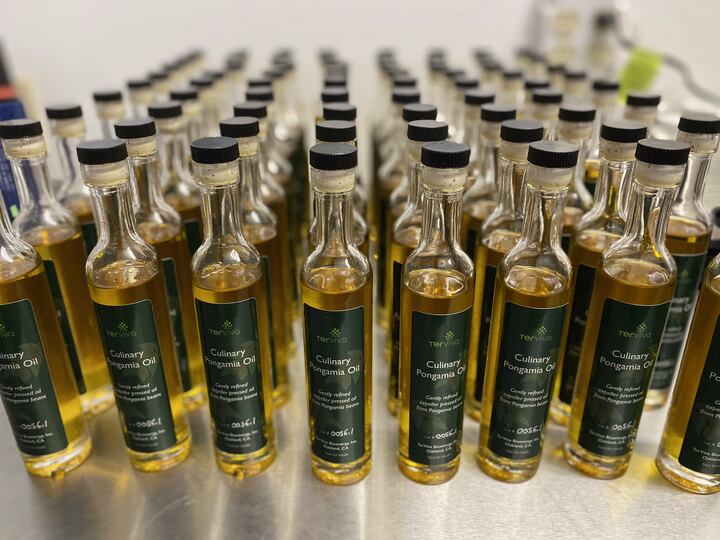 Culinary-Pongamia-Oil-Bottles-credit-Ted-Garcia.png