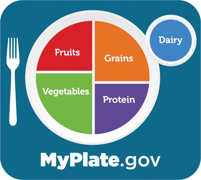 MyPlate’s visual was literal – a plate divided into four sections, with grains and vegetables dominating the surface, followed by fruits and protein, and a separate, smaller circle representing dairy.