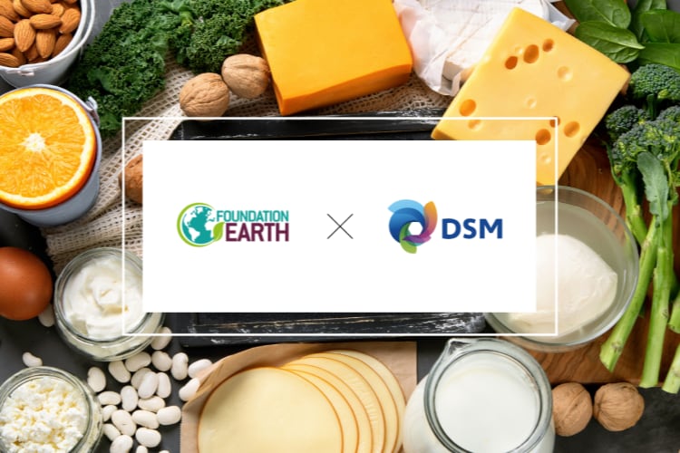 ‘Farm-level data is key’: How DSM plans to incentivize planet-friendly farming