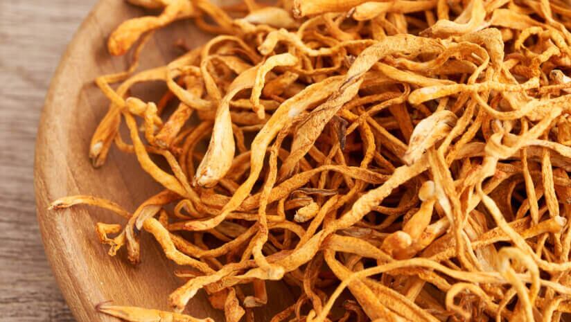 M2 Ingredients highlights recent ex vivo studies for mushrooms on gut health at IFT FIRST