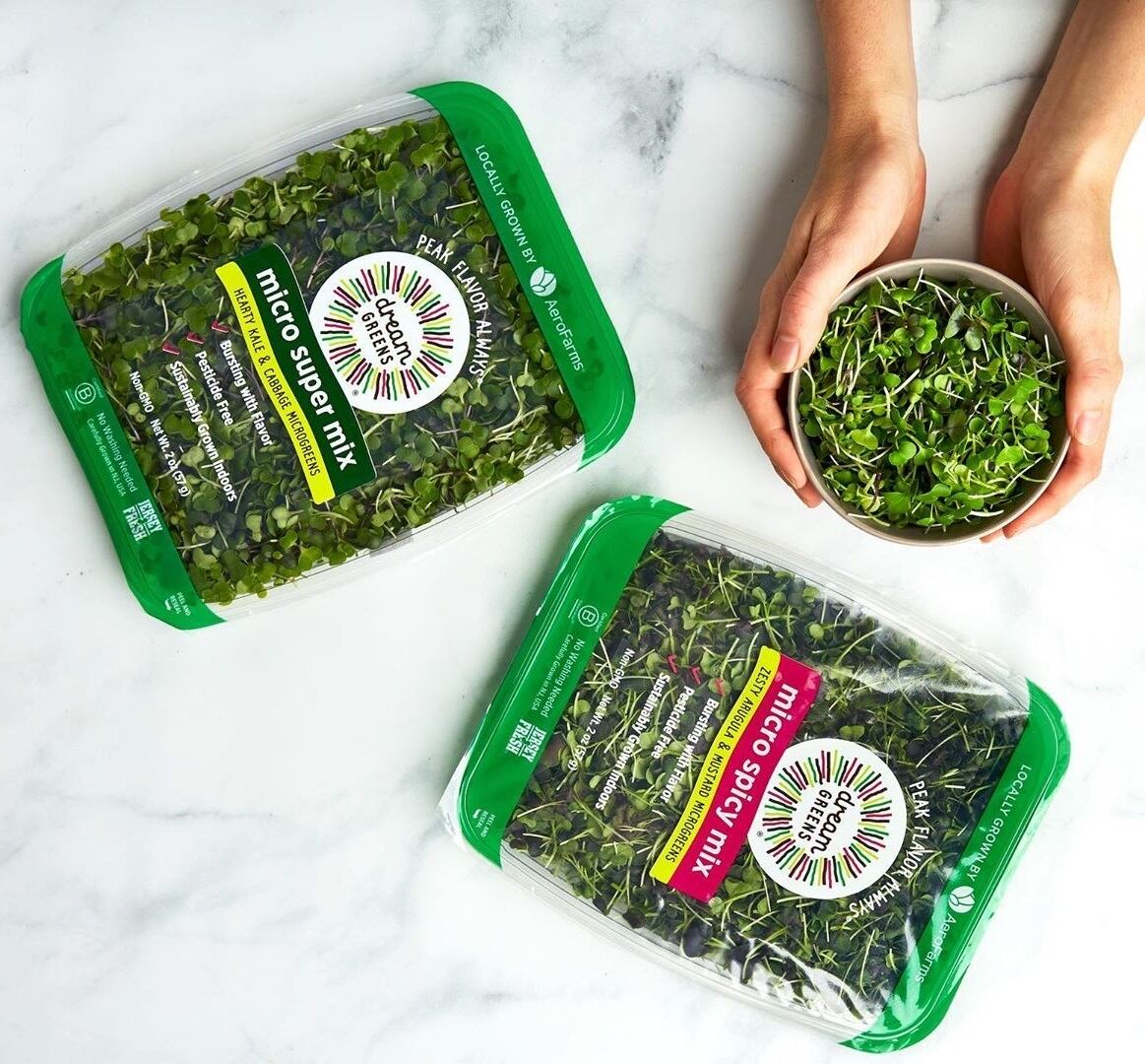 AeroFarms-to-go-public-in-merger-with-Spring-Valley-Acquisition-Corp.jpg